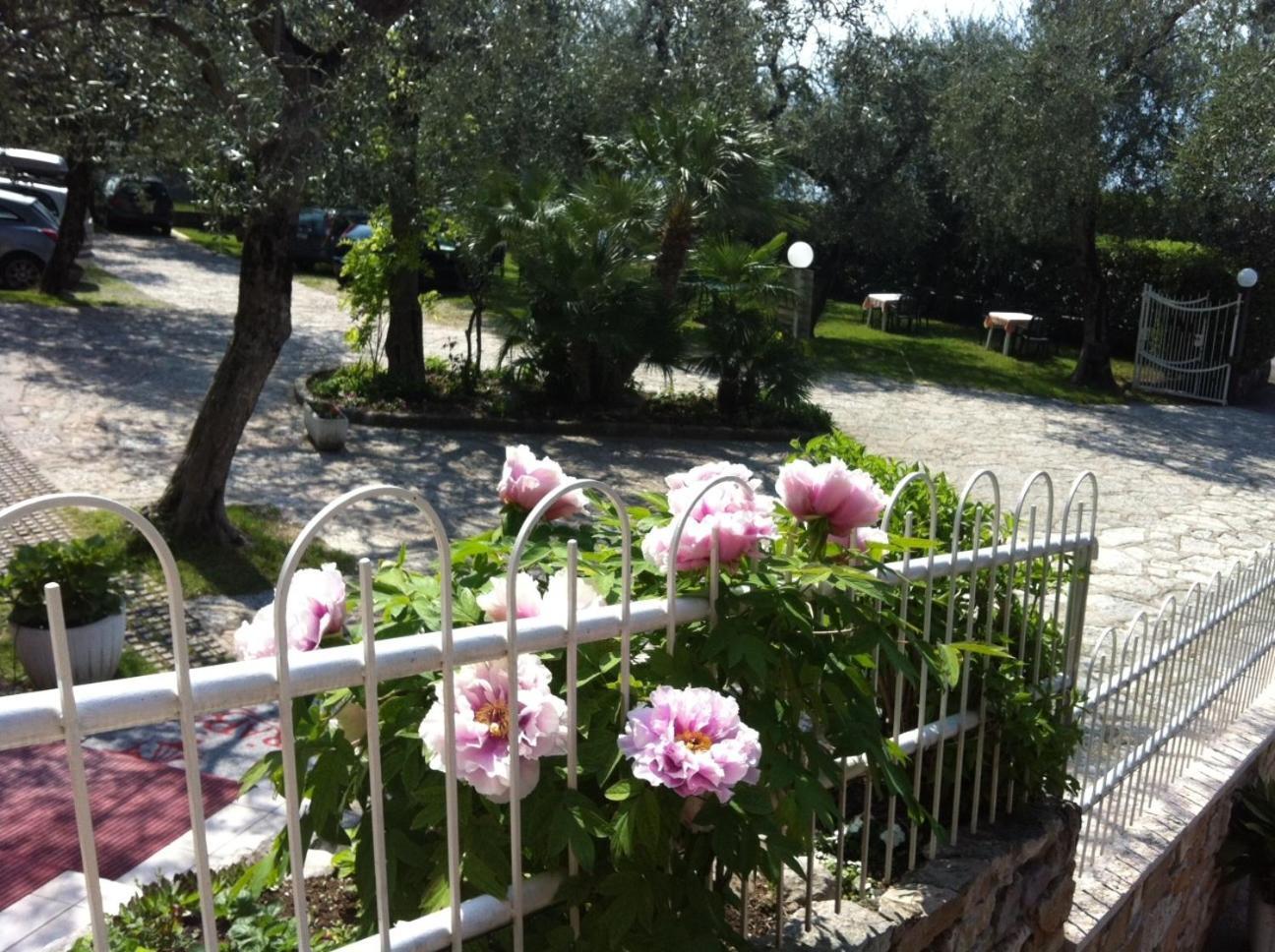 Hotel Rabay Brenzone sul Garda Esterno foto